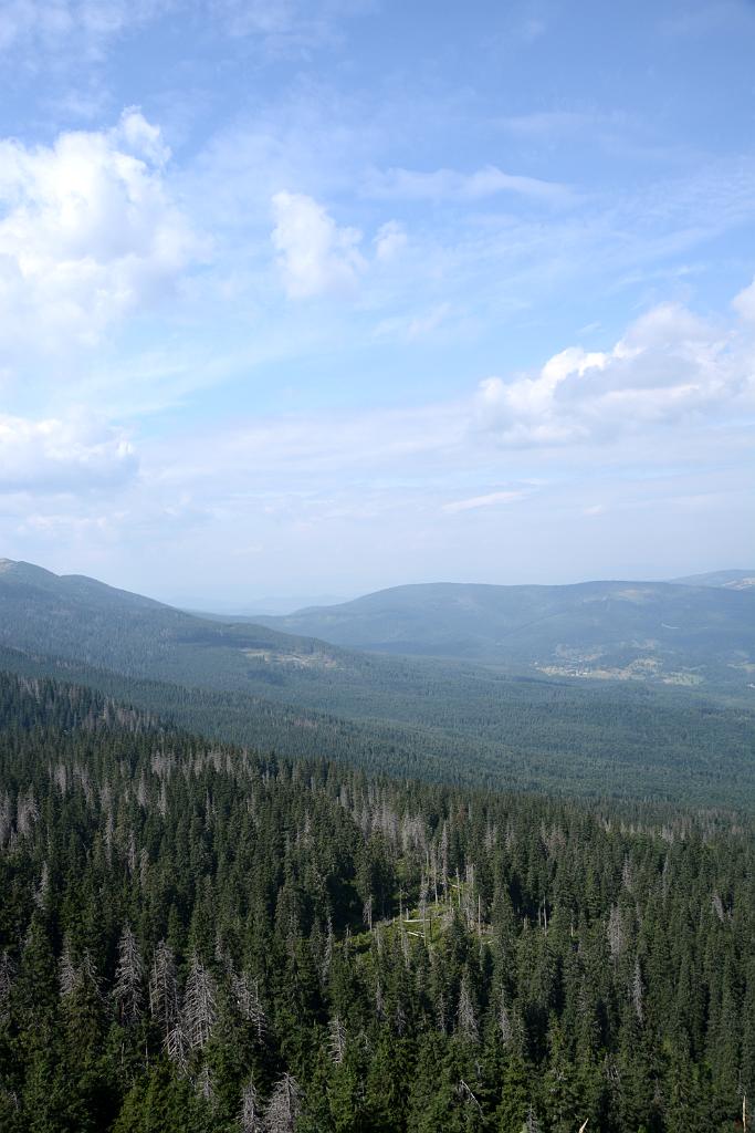 DSC_3269.JPG