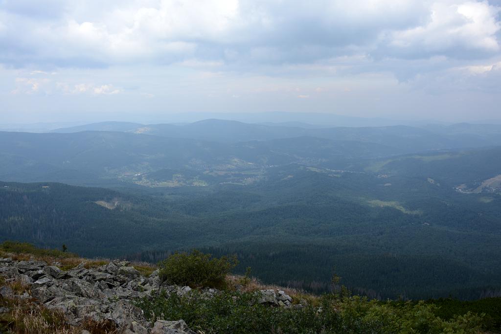 DSC_3296.JPG