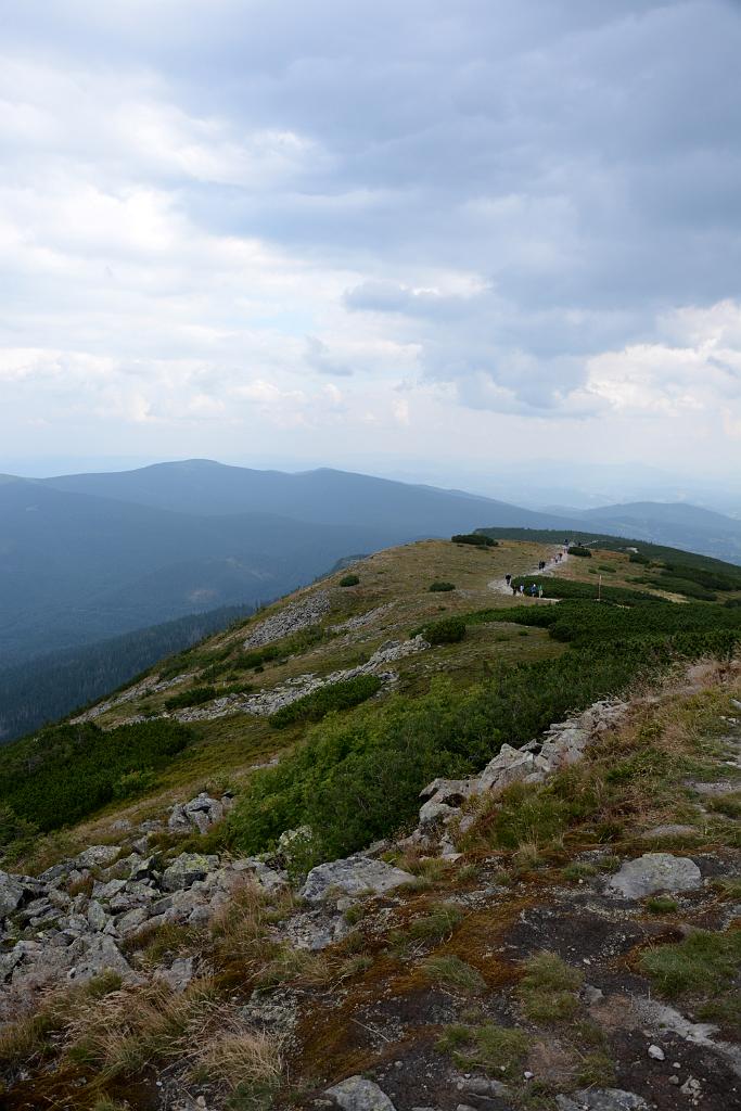 DSC_3297.JPG