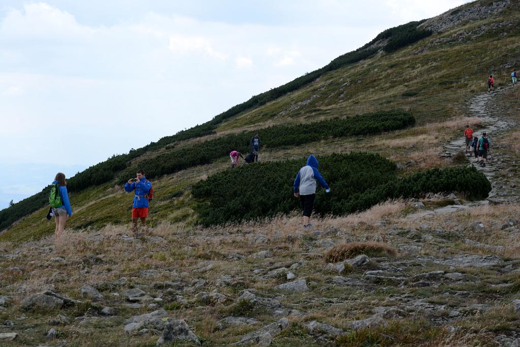 DSC_3305.JPG
