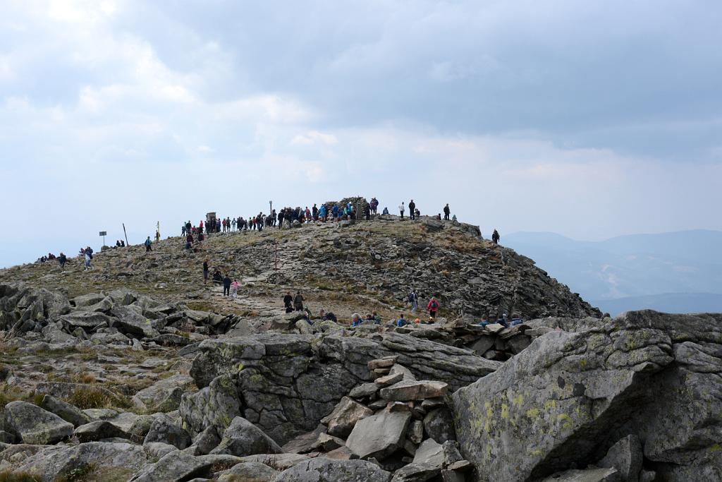 DSC_3319.JPG