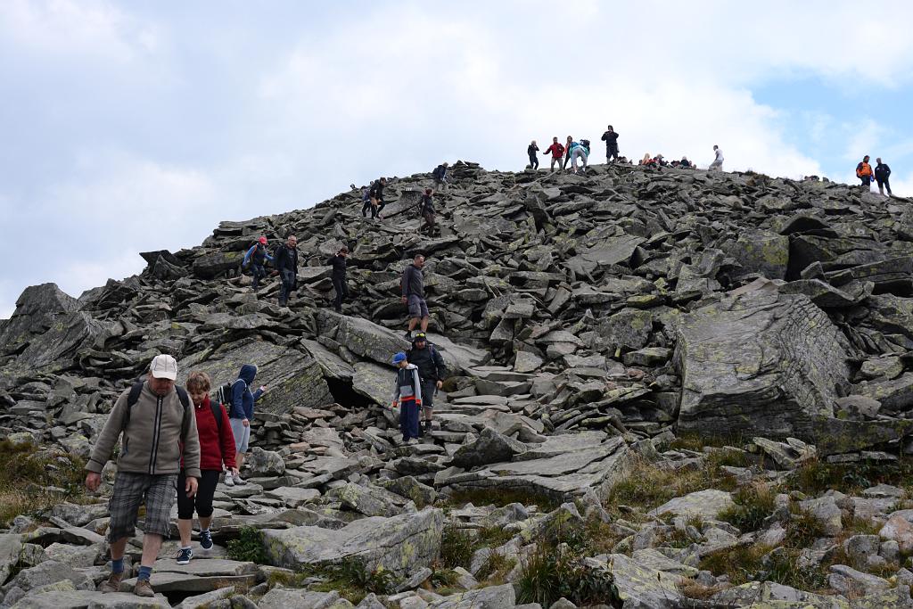 DSC_3332.JPG