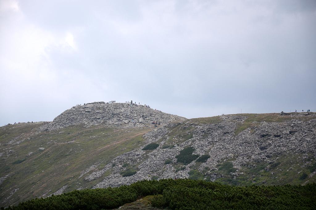DSC_3339.JPG