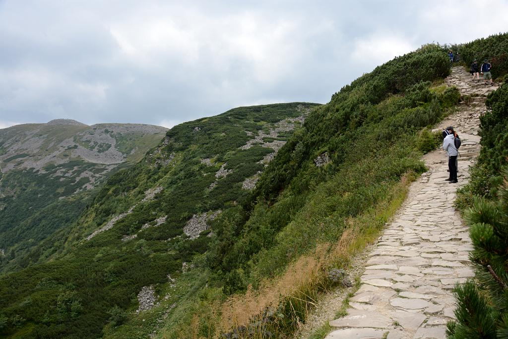 DSC_3342.JPG