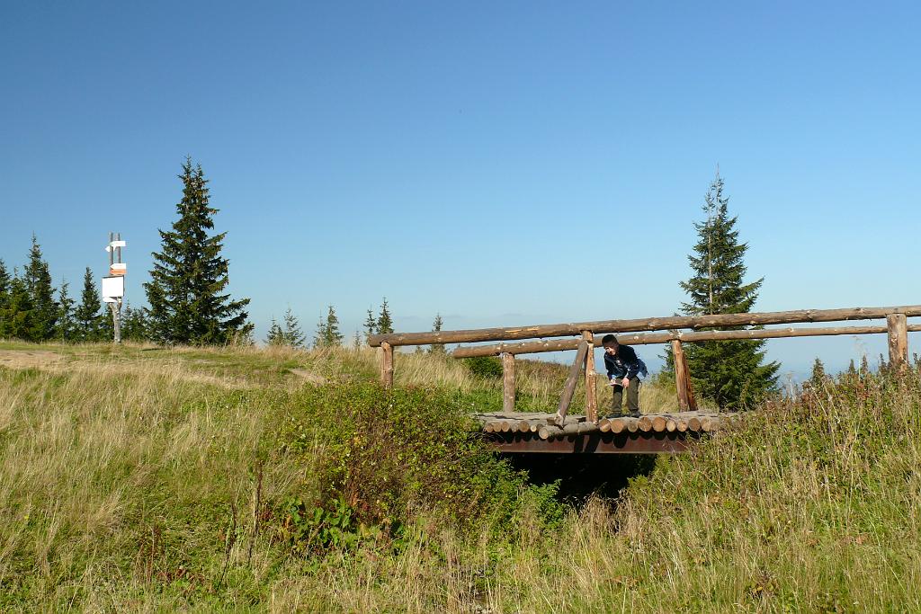 P1160349.JPG