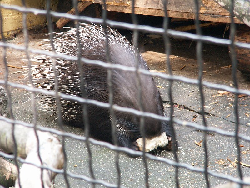 PICT0002.JPG