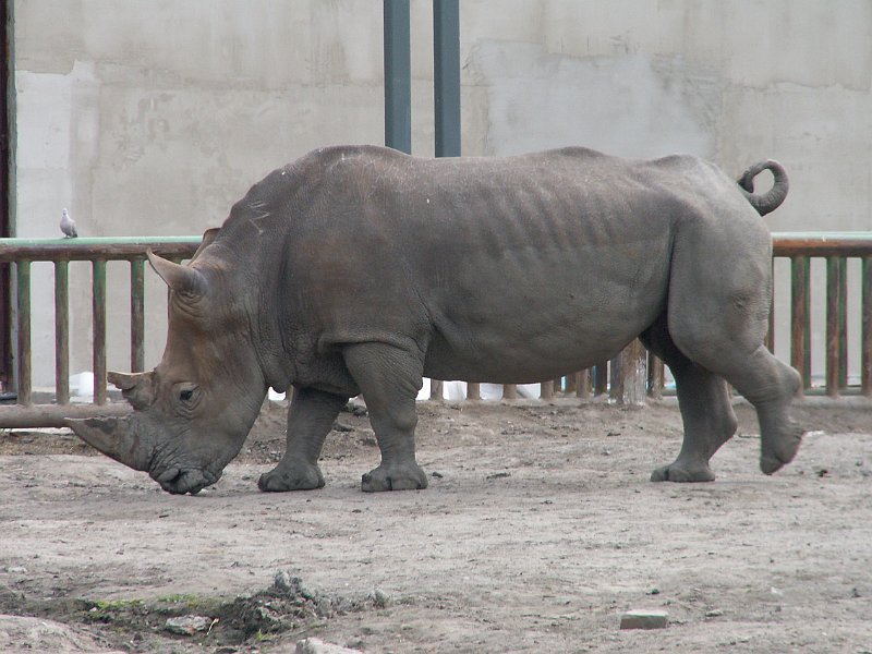 PICT0007.JPG