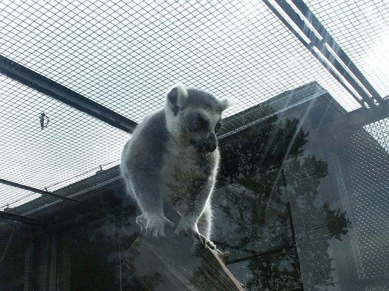 PICT0012.JPG