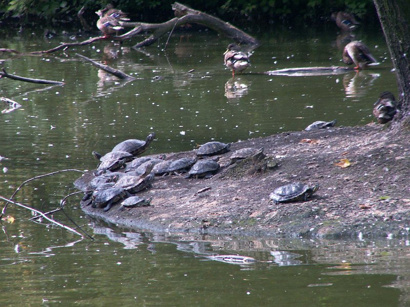 PICT0015.JPG