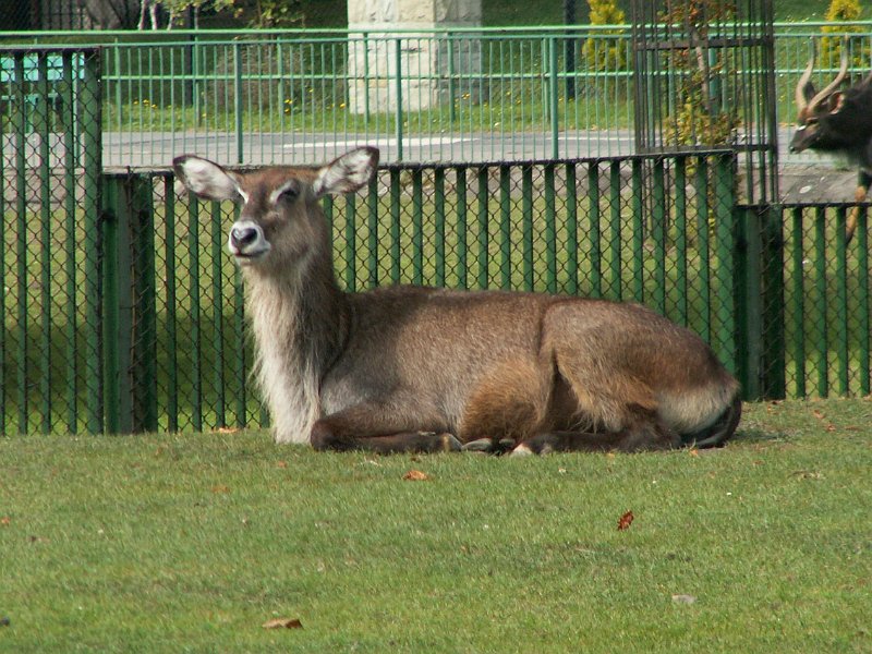 PICT0018.JPG