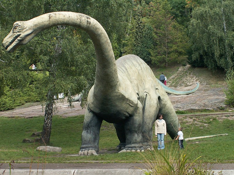 PICT0030.JPG
