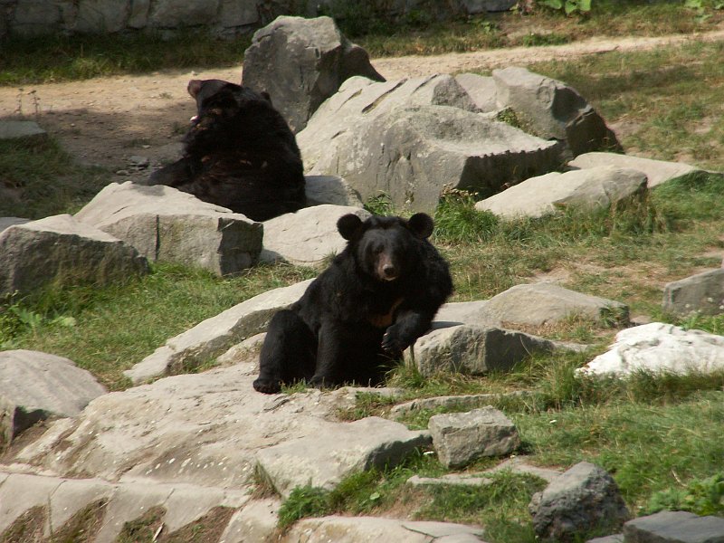 PICT0048.JPG