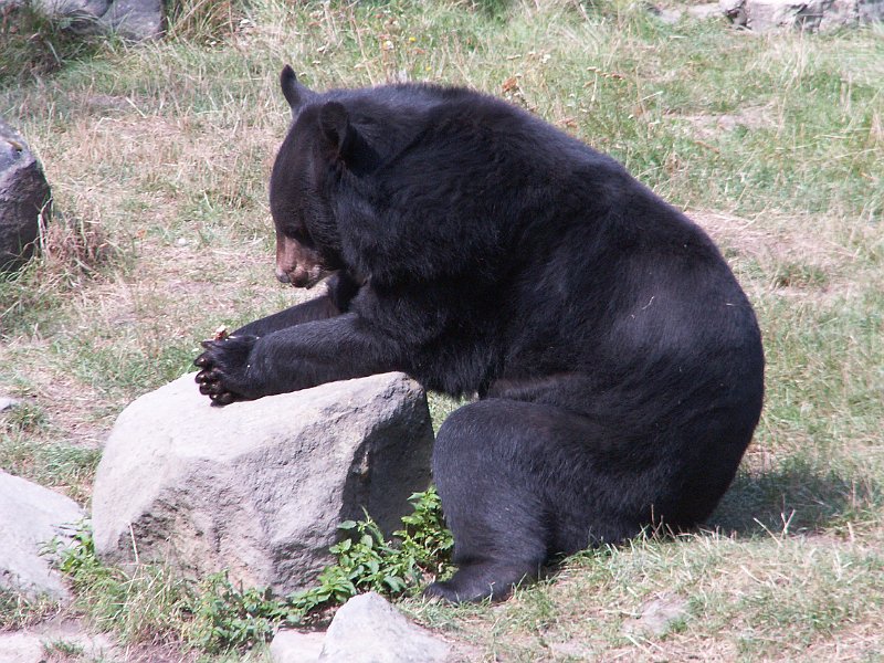 PICT0049.JPG