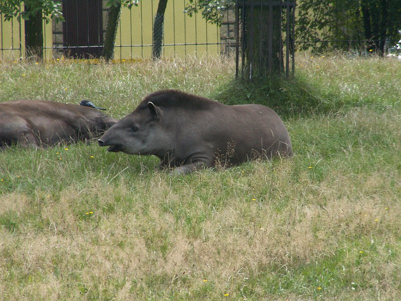 PICT0060.JPG