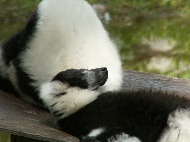 PICT0069.JPG