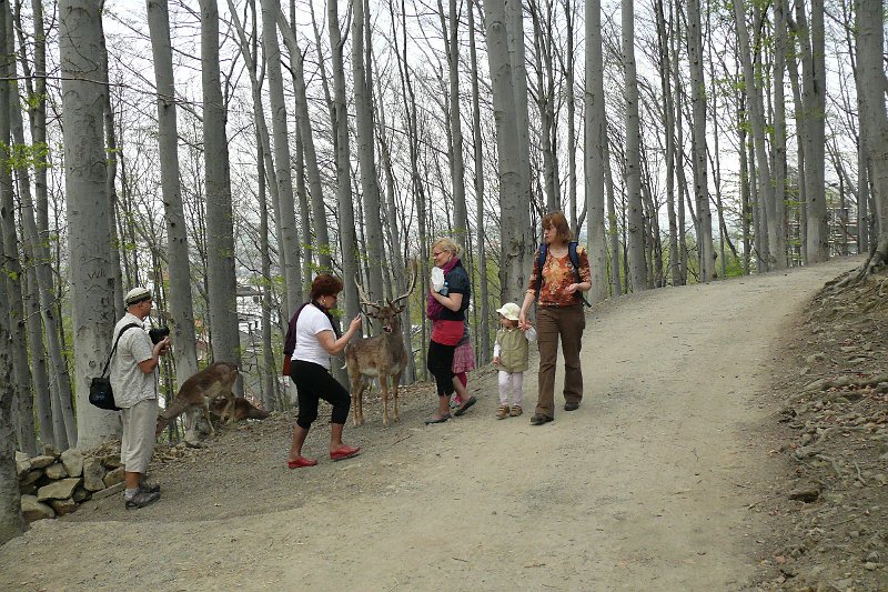 P1120886.JPG