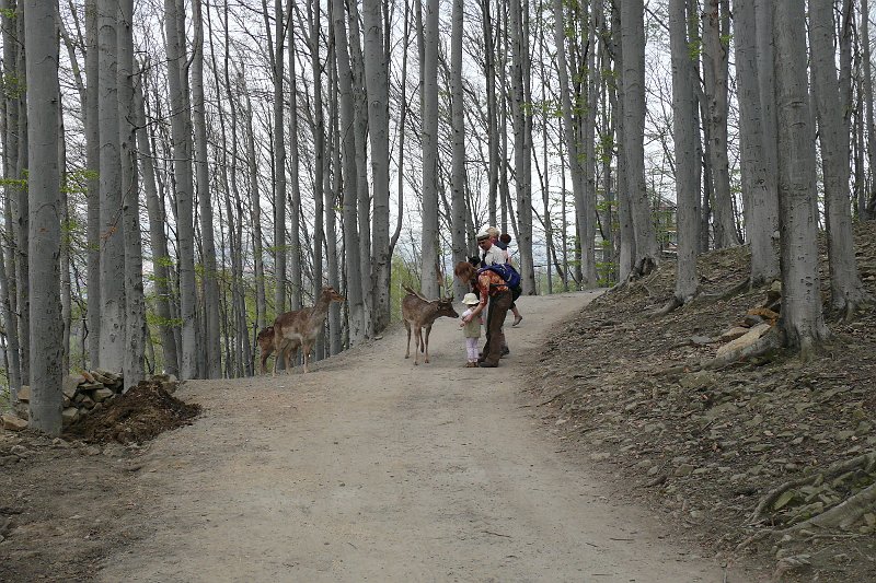 P1120890.JPG