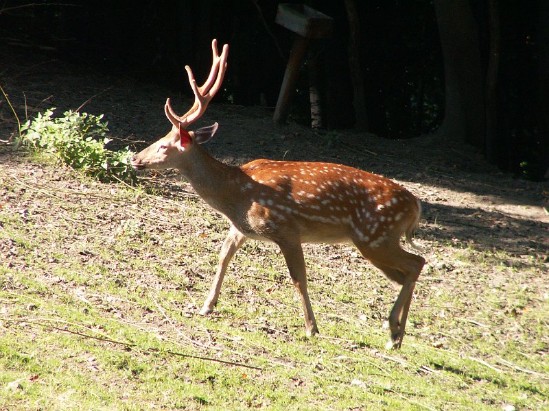 PICT0003.JPG