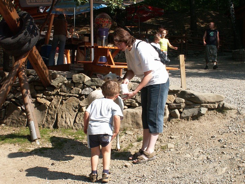 PICT0015.JPG