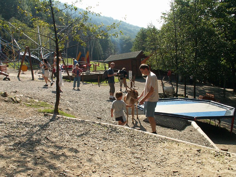 PICT0016.JPG