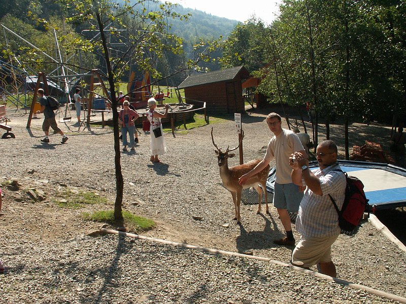 PICT0017.JPG