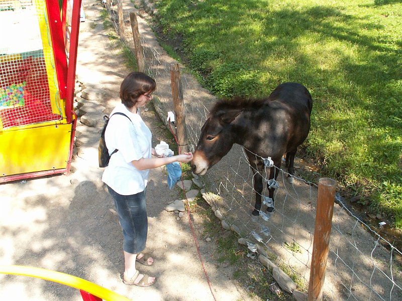 PICT0033.JPG