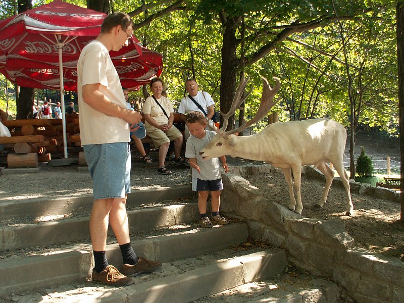 PICT0038.JPG
