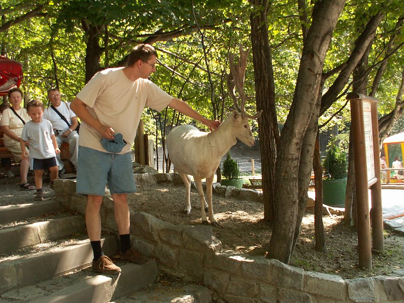 PICT0039.JPG