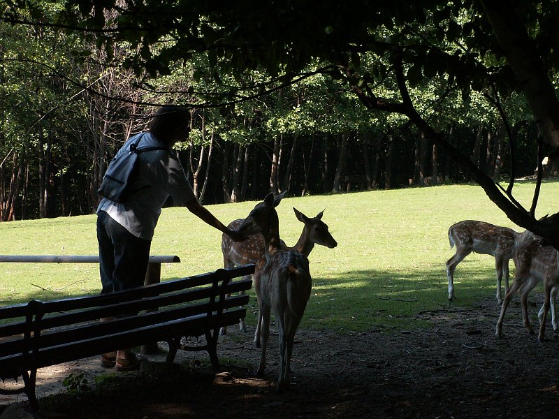 PICT0046.JPG