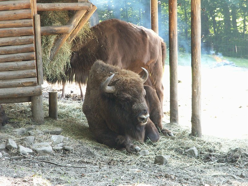 PICT0054.JPG