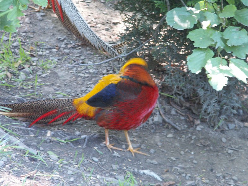 PICT0057.JPG