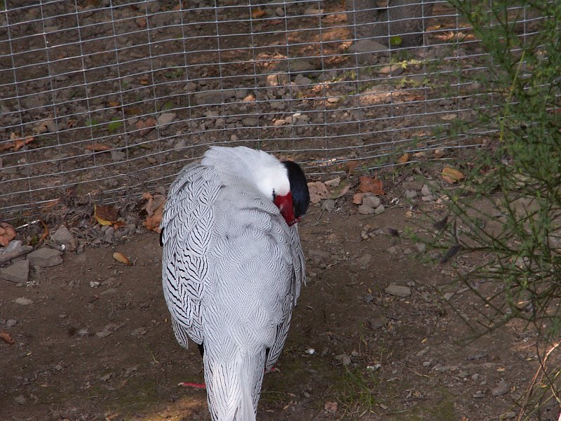 PICT0062.JPG
