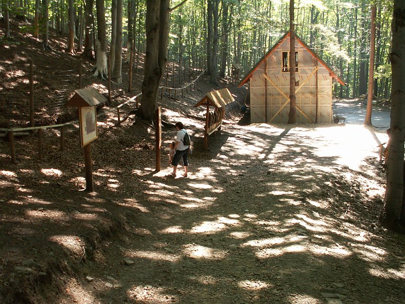 PICT0063.JPG