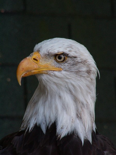 PICT0070.JPG