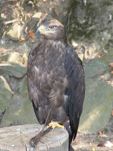 PICT0071.JPG