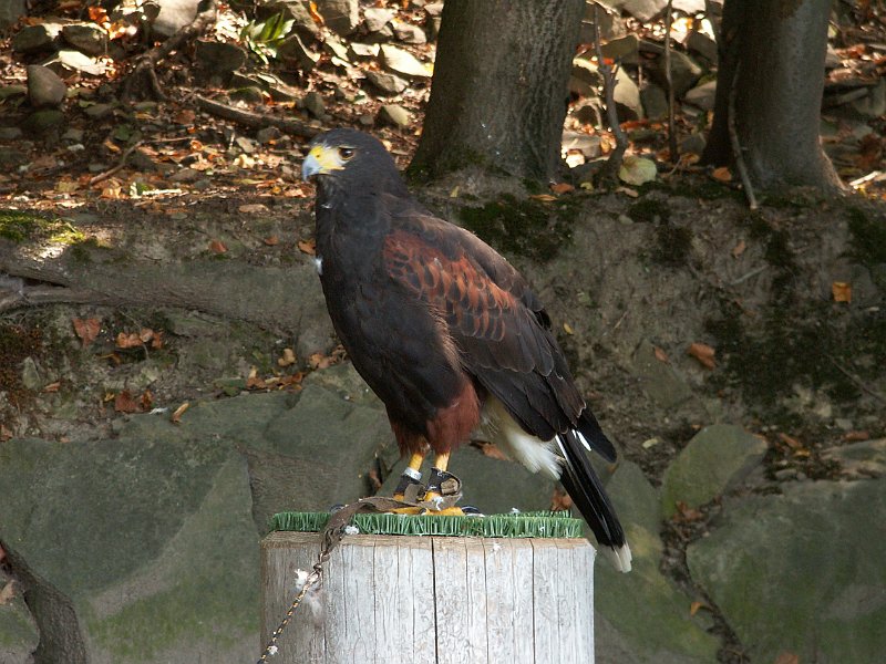 PICT0073.JPG