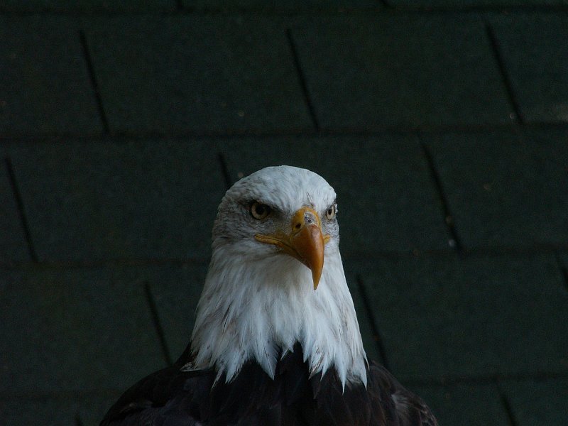 PICT0074.JPG