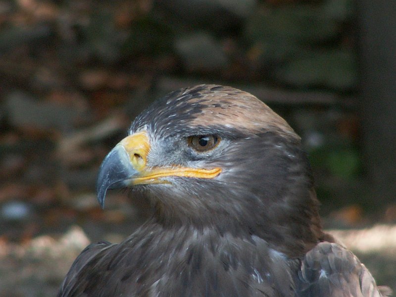 PICT0076.JPG
