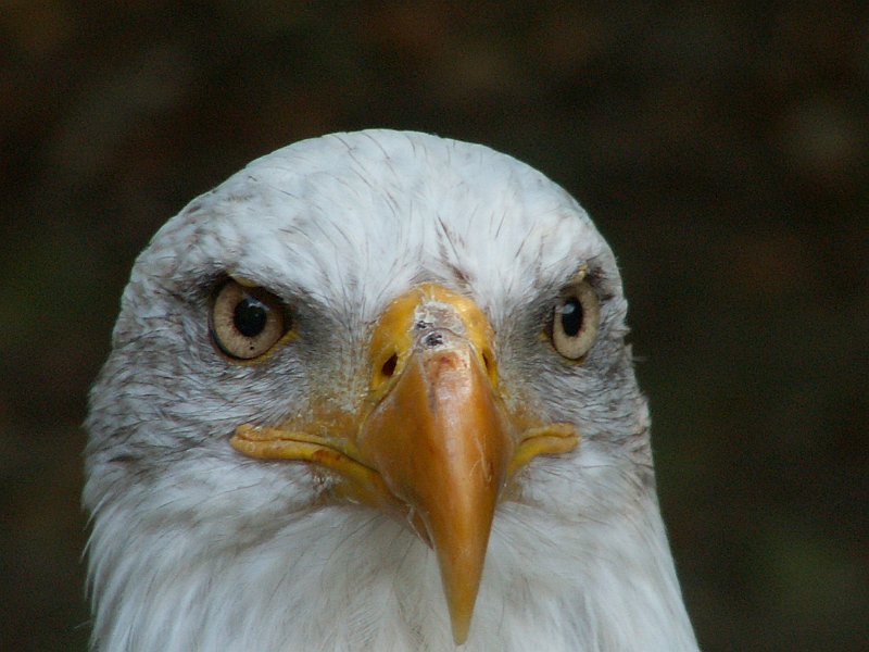 PICT0077.JPG