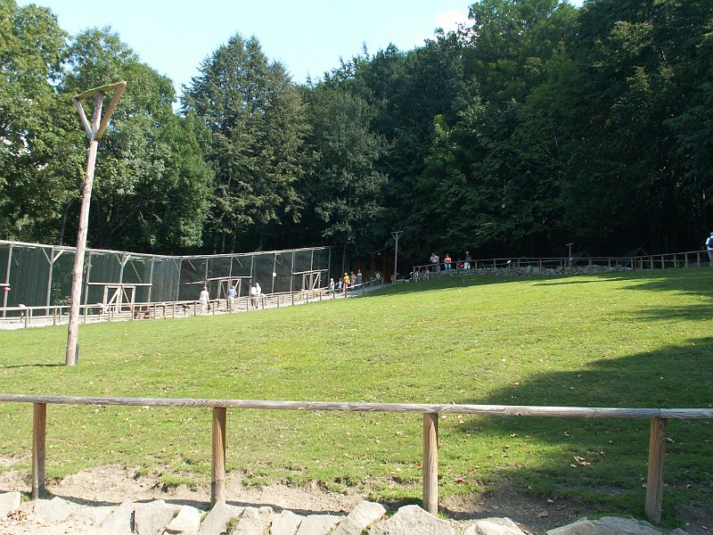 PICT0085.JPG