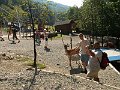 PICT0017