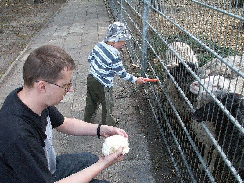 PICT0007.JPG