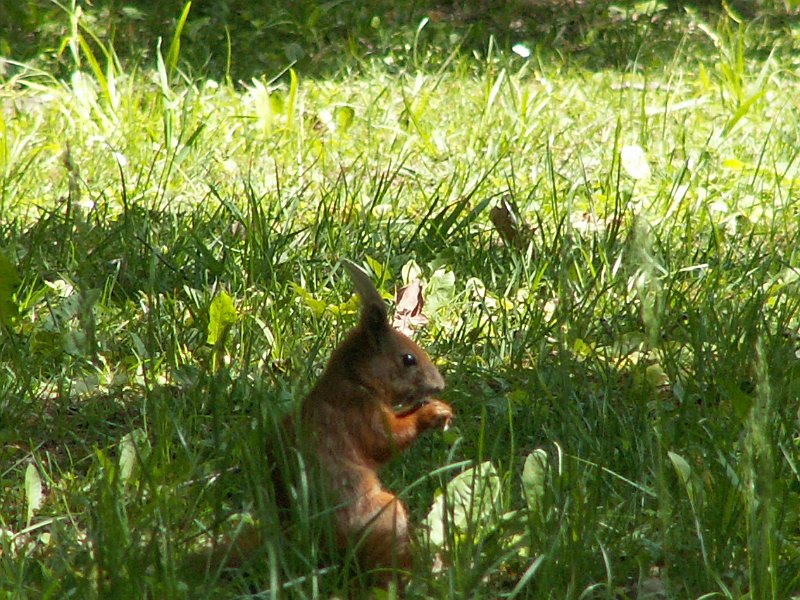 PICT0023.JPG