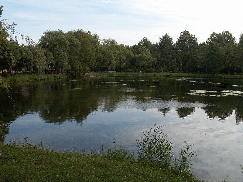 PICT0039.JPG