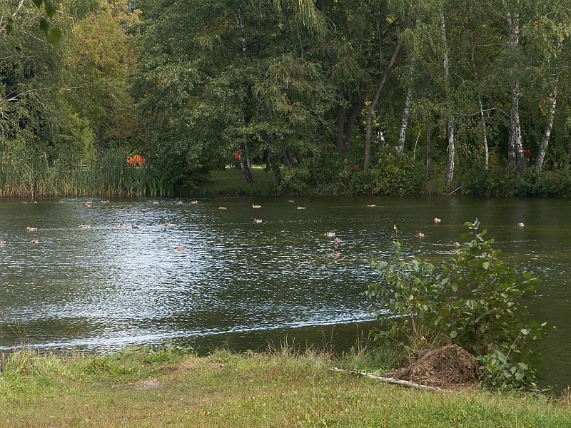 PICT0042.JPG