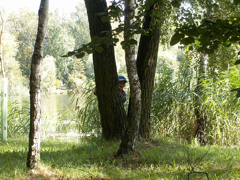 PICT0102.JPG