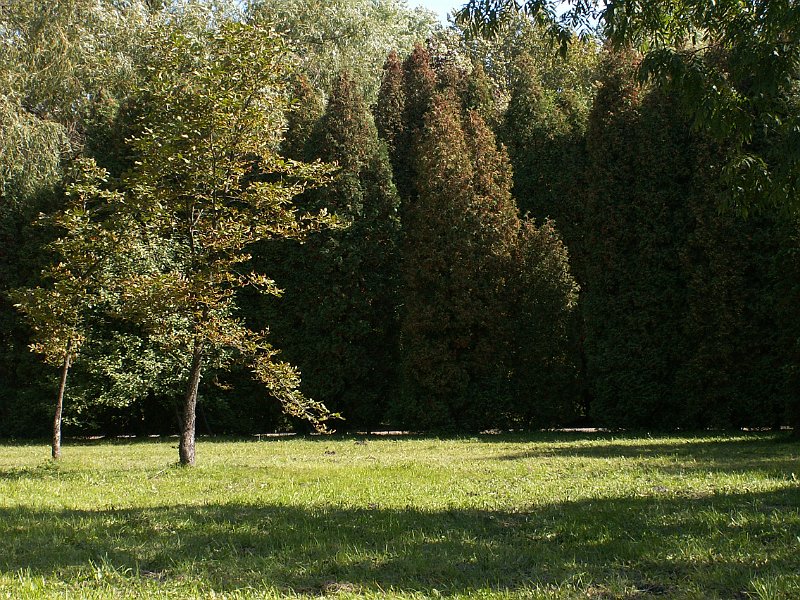 PICT0111.JPG