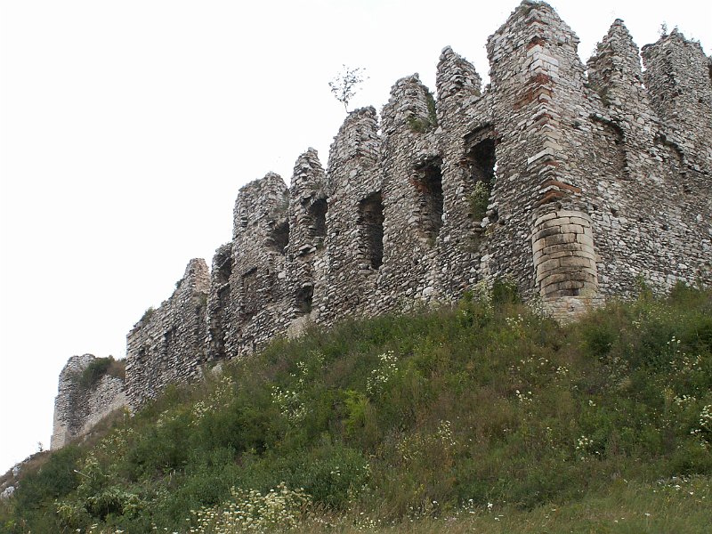 PICT0001.JPG