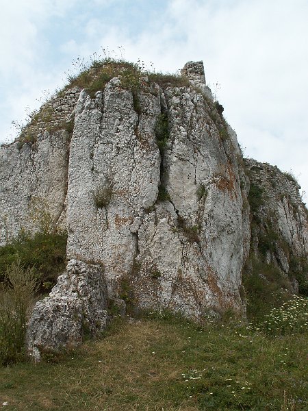 PICT0012.JPG