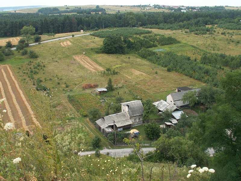 PICT0016.JPG